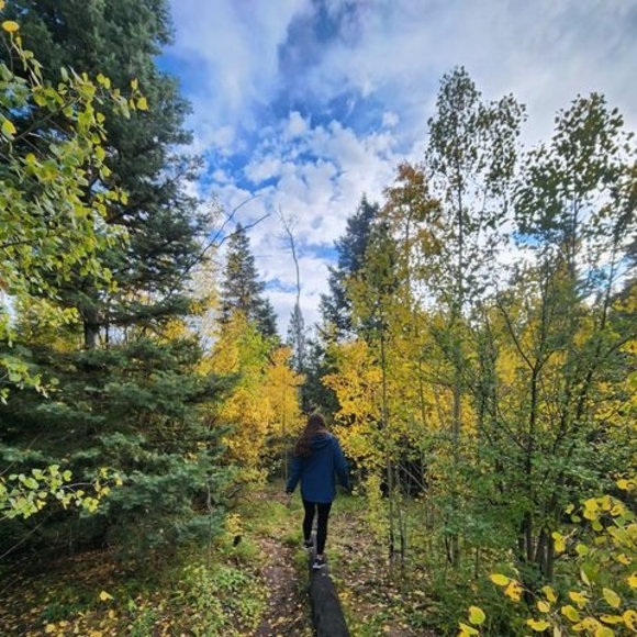 Meet your Posher, Mirabella - Picture 1 of 1